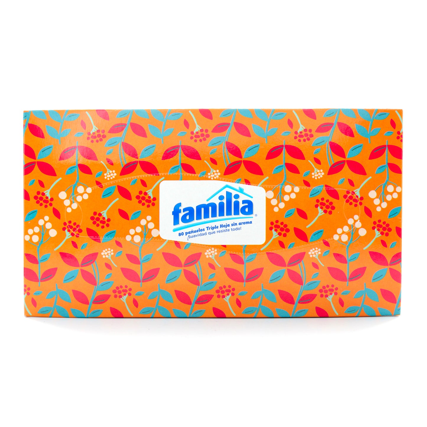 Pañuelos Familia Caja Grande 80 Unidades