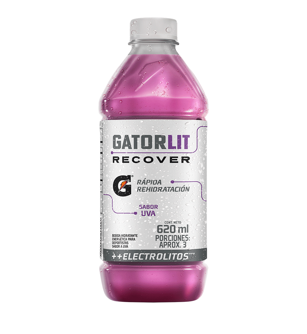 Gatorlit Hidratante Uva 620 ML