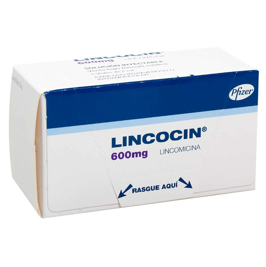 Lincocin 600 mg X 5 Ampolla