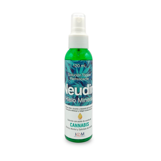 Hierro Mineral Neudin 120 ml Icom