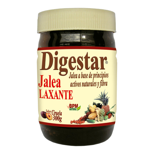 Digestar Jalea 300 gr