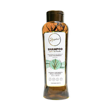 ShampooOO Anyeluz Romero 500 ml (sav)