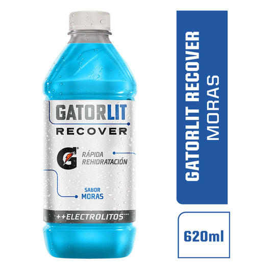 GATORLIT HIDRATANTE MORA 620 ML