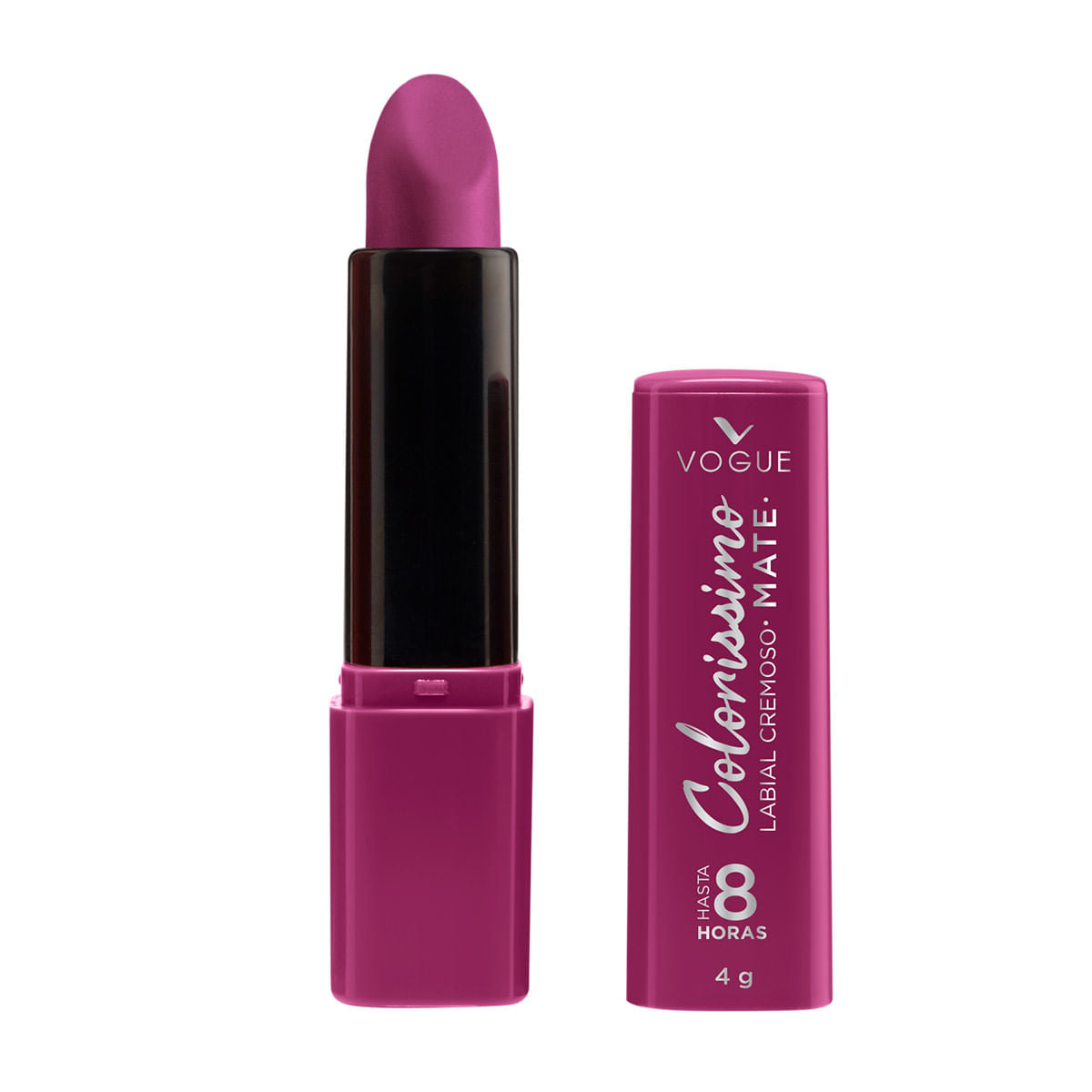 Labial Coloríssimo 4 Gramos Ciruela Divina